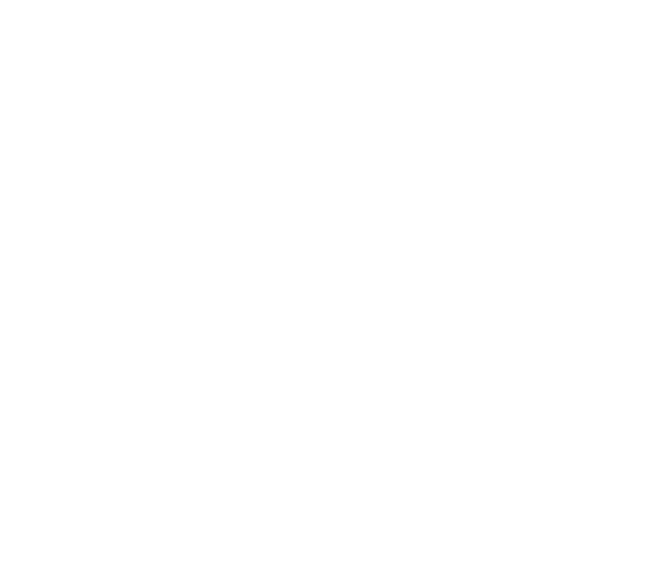 logo pass info blanc